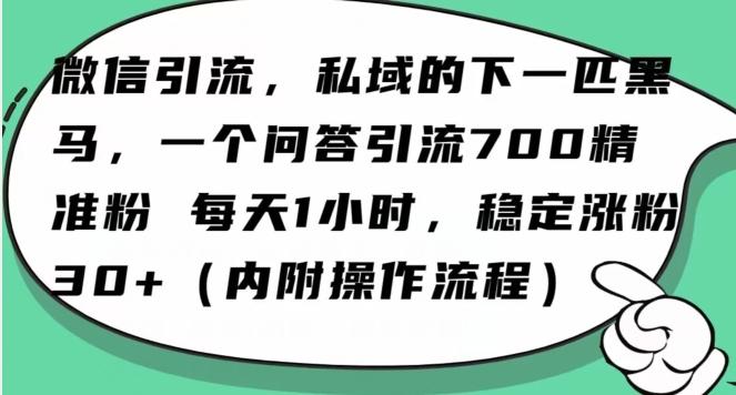 怎么搞精准创业粉？微信新赛道，每天一小时，利用Ai一个问答日引100精准粉-卿云社
