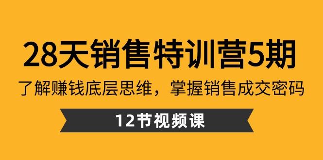 28天销售特训营5期：了解赚钱底层思维，掌握销售成交密码（12节课）-卿云社