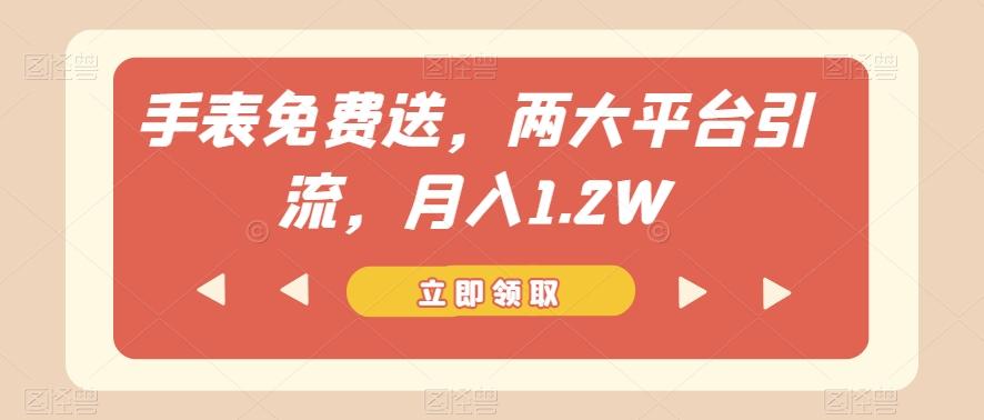 手表免费送，两大平台引流，月入1.2W【揭秘】-卿云社