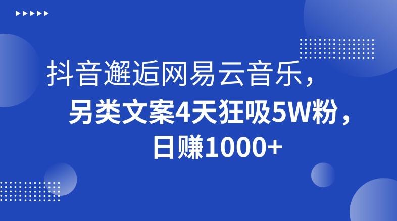 抖音邂逅网易云音乐，另类文案4天狂吸5W粉，日赚1000+【揭秘】-卿云社