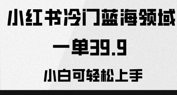 小红书冷门蓝海领域，一单39.9，小白可轻松上手-卿云社