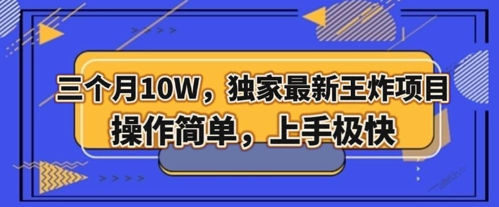 三个月10W，独家最新王炸项目！操作简单，上手极快【揭秘】-卿云社