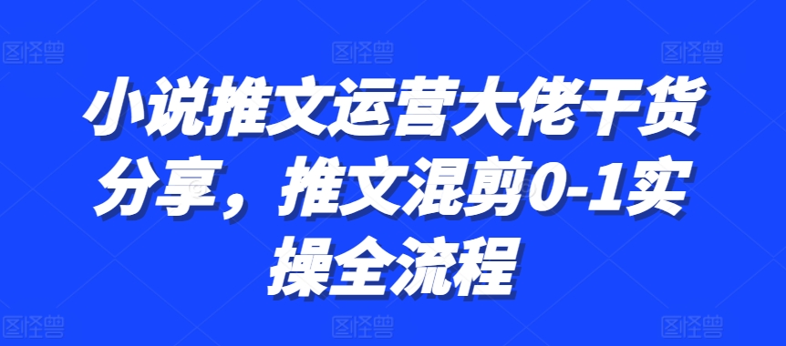 小说推文运营大佬干货分享，推文混剪0-1实操全流程-卿云社