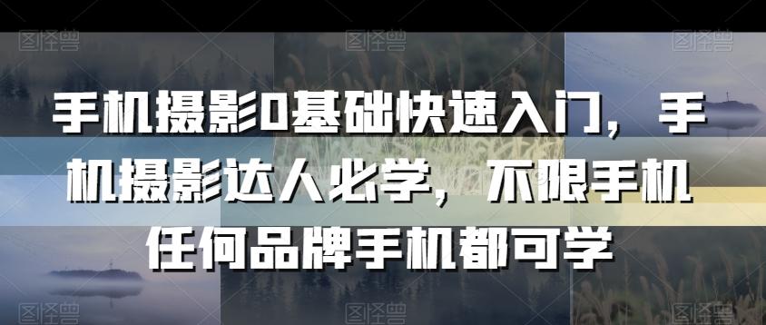 手机摄影0基础快速入门，手机摄影达人必学，不限手机任何品牌手机都可学-卿云社