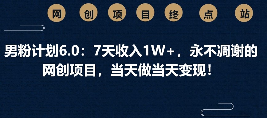 男粉计划6.0：7天收入1W+，永不凋谢的网创项目，当天做当天变现！-卿云社