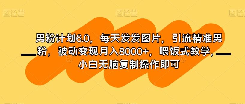 男粉计划6.0，每天发发图片，引流精准男粉，被动变现月入8000+，喂饭式教学，小白无脑复制操作即可-卿云社