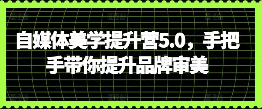 自媒体美学提升营5.0，手把手带你提升品牌审美-卿云社