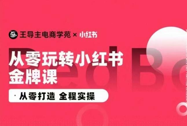 王导主·小红书电商运营实操课，​从零打造  全程实操-卿云社
