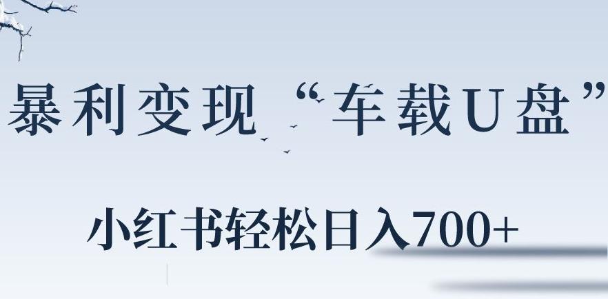 小红书“车载U盘”暴利引流，日入700+-卿云社