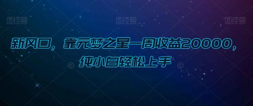 新风口，靠元梦之星一周收益20000，纯小白轻松上手-卿云社