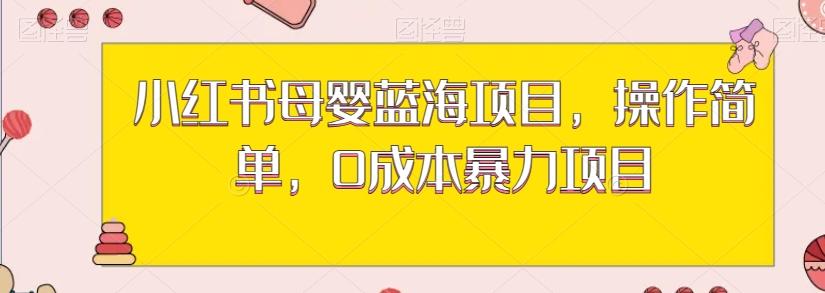 小红书母婴蓝海项目，操作简单，0成本暴力项目-卿云社