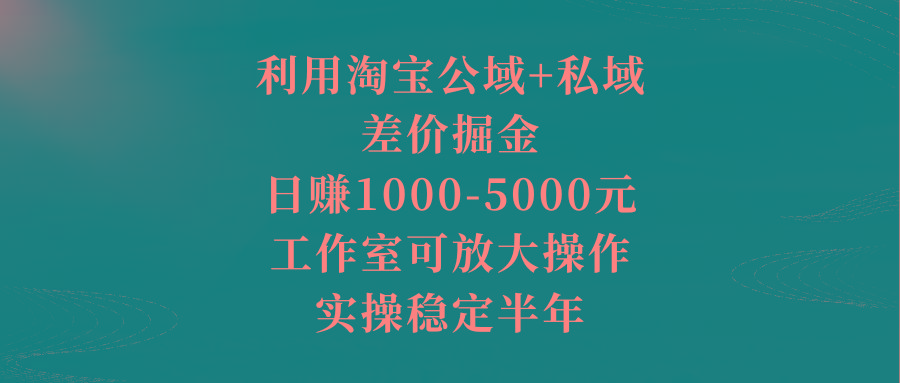 利用淘宝公域+私域差价掘金，日赚1000-5000元，工作室可放大操作，实操…-卿云社