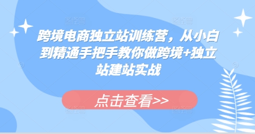 跨境电商独立站训练营，从小白到精通手把手教你做跨境+独立站建站实战-卿云社