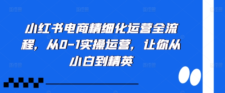 小红书电商精细化运营全流程，从0-1实操运营，让你从小白到精英-卿云社