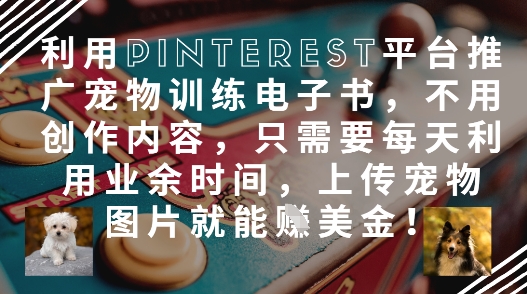 利用Pinterest平台推广宠物训练电子书，不用创作内容，只需要每天利用业余时间，上传宠物图片就能挣美金!-卿云社