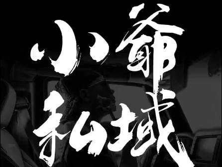 小爷·私域项目操盘手-卿云社
