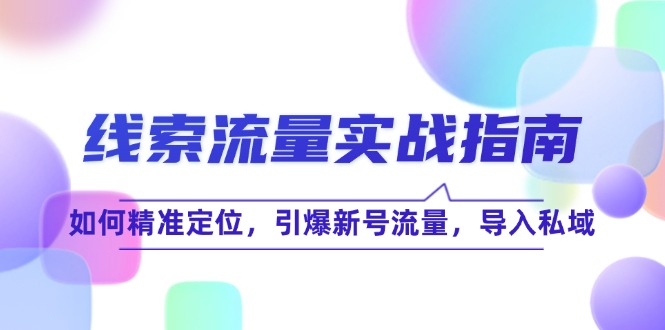 线 索 流 量-实战指南：如何精准定位，引爆新号流量，导入私域-卿云社
