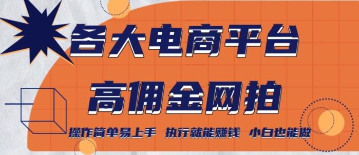 各大电商平台高佣金网拍，操作简单易上手，执行就能赚钱，小白也能做-卿云社