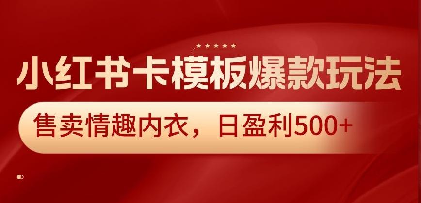 小红书卡模板爆款玩法，售卖情趣内衣，日盈利500+【揭秘】-卿云社