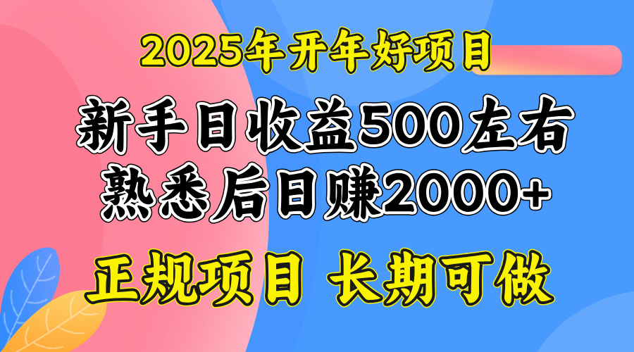 2025开年好项目，单号日收益2000左右-卿云社