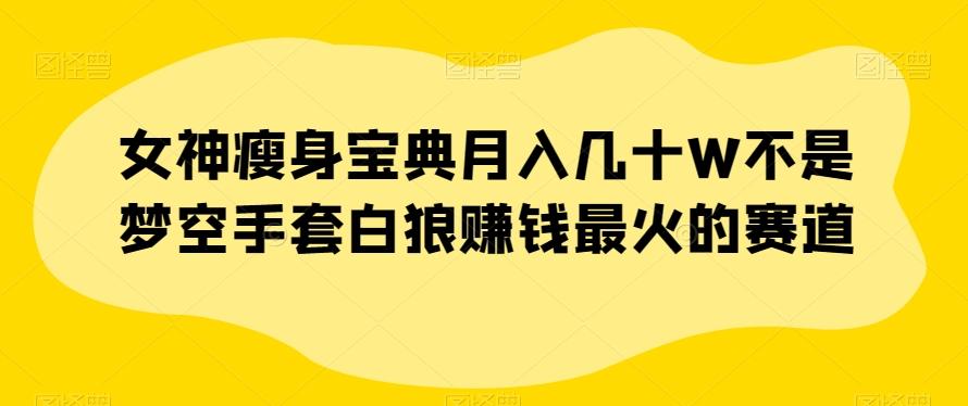 女神瘦身宝典月入几十W不是梦空手套白狼赚钱最火的赛道【揭秘】-卿云社