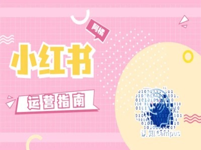 小红书运营指南，没有套路，全是经验-卿云社