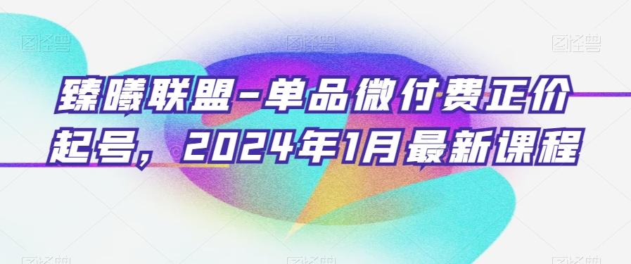 臻曦联盟-单品微付费正价起号，2024年1月最新课程-卿云社
