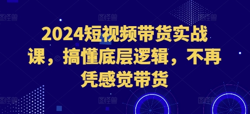 2024短视频带货实战课，搞懂底层逻辑，不再凭感觉带货-卿云社