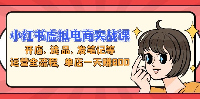 小红书虚拟电商实战课：开店、选品、发笔记等运营全流程，单店一天赚800-卿云社