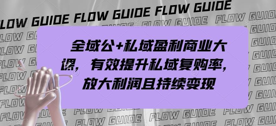 全域公+私域盈利商业大课，有效提升私域复购率，放大利润且持续变现-卿云社