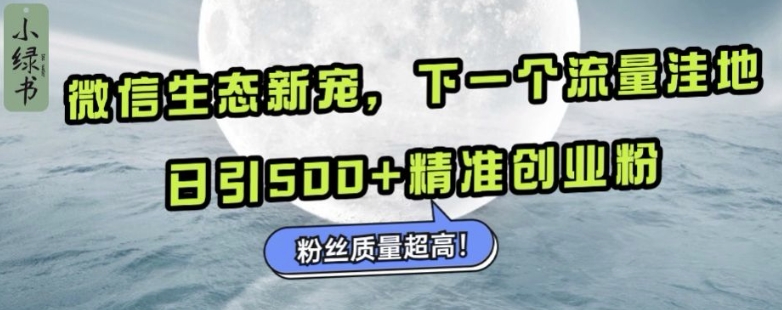 微信生态新宠小绿书：下一个流量洼地，日引500+精准创业粉，粉丝质量超高-卿云社