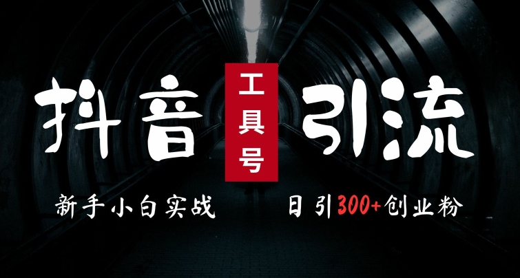 2024最新抖音工具号引流玩法，高效日引300+创业粉，当天变现5k，小白也可成为实战高手-卿云社