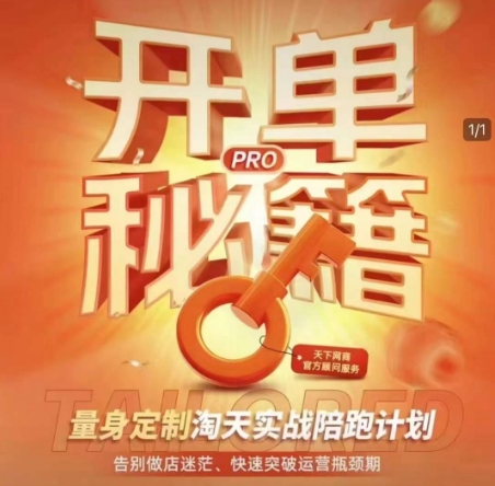 淘宝开单秘籍PRO，量身定制淘天实战陪跑计划，告别做店迷茫、快速突破运营瓶颈期(更新6月)-卿云社