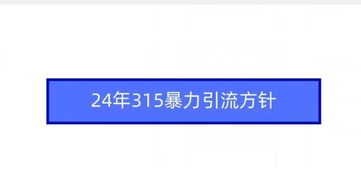 24年315暴力引流方针-卿云社