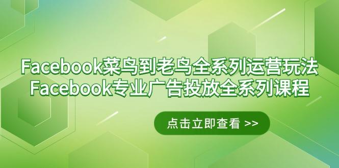 Facebook-菜鸟到老鸟全系列运营玩法+Facebook-专业广告投放全系列课程-卿云社