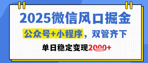2025微信风口掘金，公众号+小程序双管齐下，单日稳定变现1k+【揭秘】-卿云社