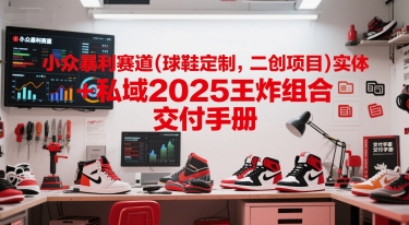 小众暴利赛道(球鞋定制，二创项目)实体+私域2025王炸组合  交付手册-卿云社