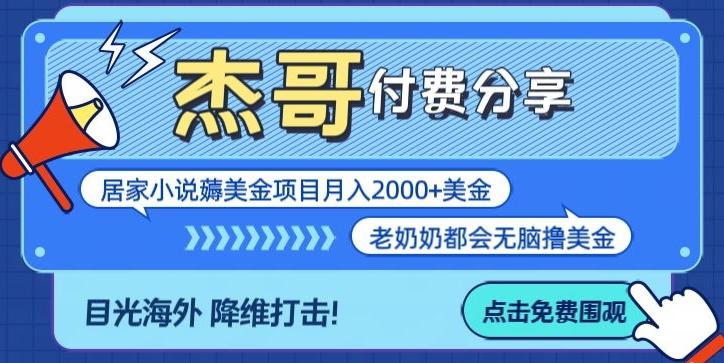 拆解海外撸美金项目月入2000美刀详细指导-卿云社