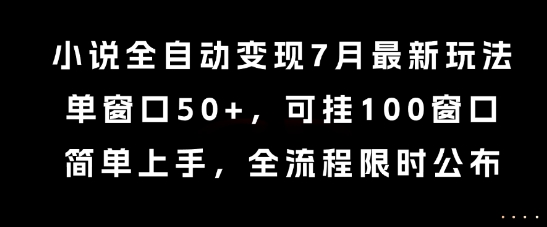小说全自动变现7月玩法，单窗口50+，可挂100窗口，简单上手，全流程限时公布【揭秘】-卿云社