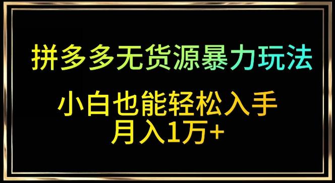 拼多多无货源暴力玩法，全程干货，小白也能轻松入手，月入1万+【揭秘】-卿云社