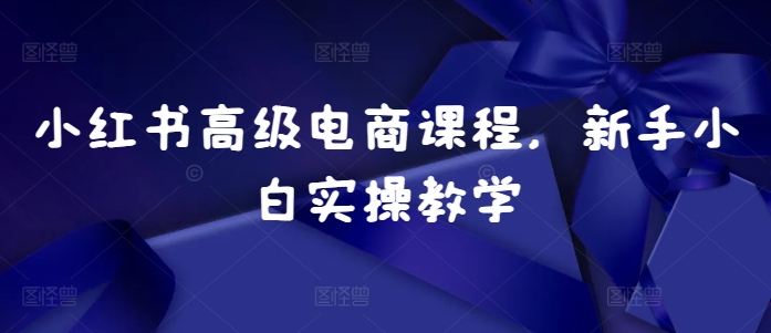 小红书高级电商课程，新手小白实操教学-卿云社