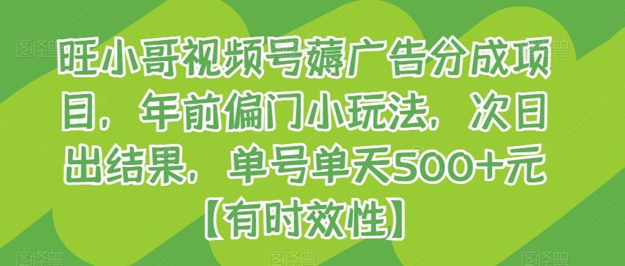 旺小哥视频号薅广告分成项目，年前偏门小玩法，次日出结果，单号单天500+元【有时效性】-卿云社
