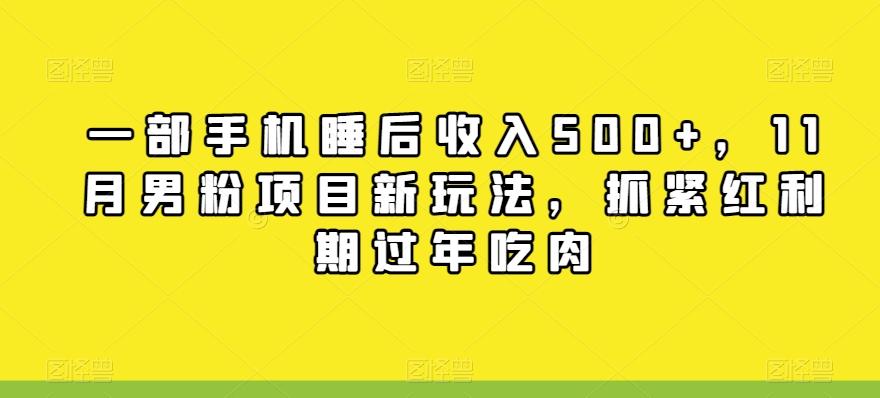 一部手机睡后收入500+，11月男粉项目新玩法，抓紧红利期过年吃肉-卿云社