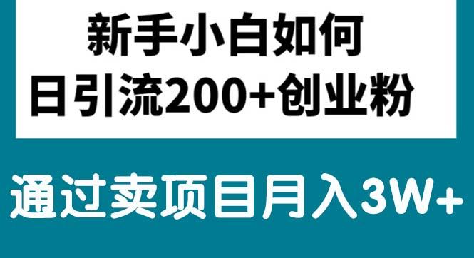 新手小白日引流200+创业粉,通过卖项目月入3W+-卿云社