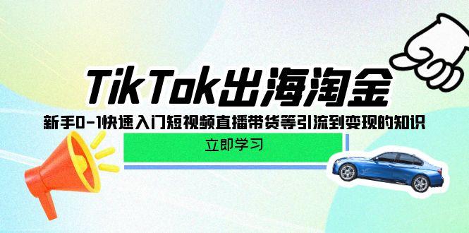(10035期)TikTok-出海淘金，新手0-1快速入门短视频直播带货等引流到变现的知识-卿云社