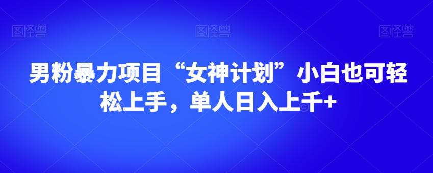 男粉暴力项目“女神计划”小白也可轻松上手，单人日入上千+【揭秘】-卿云社