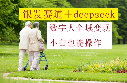 银发赛道+deepseek数字人全域变现，小白也能操作-卿云社