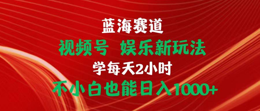 蓝海赛道视频号 娱乐新玩法每天2小时小白也能日入1000+-卿云社