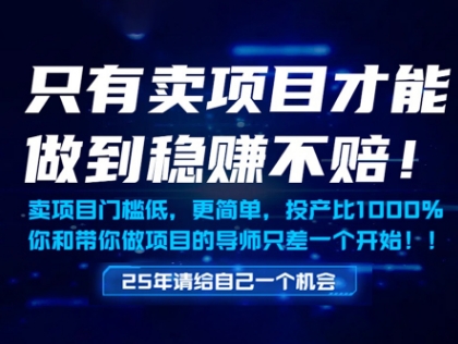 只有卖项目才能做到稳挣不赔，门槛低，更简单，你也可以年入百个W【揭秘】-卿云社