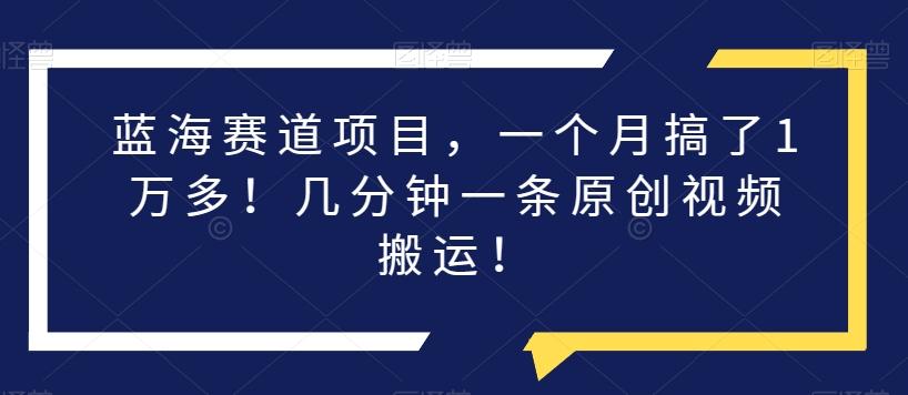蓝海赛道项目，一个月搞了1万多！几分钟一条原创视频搬运！-卿云社